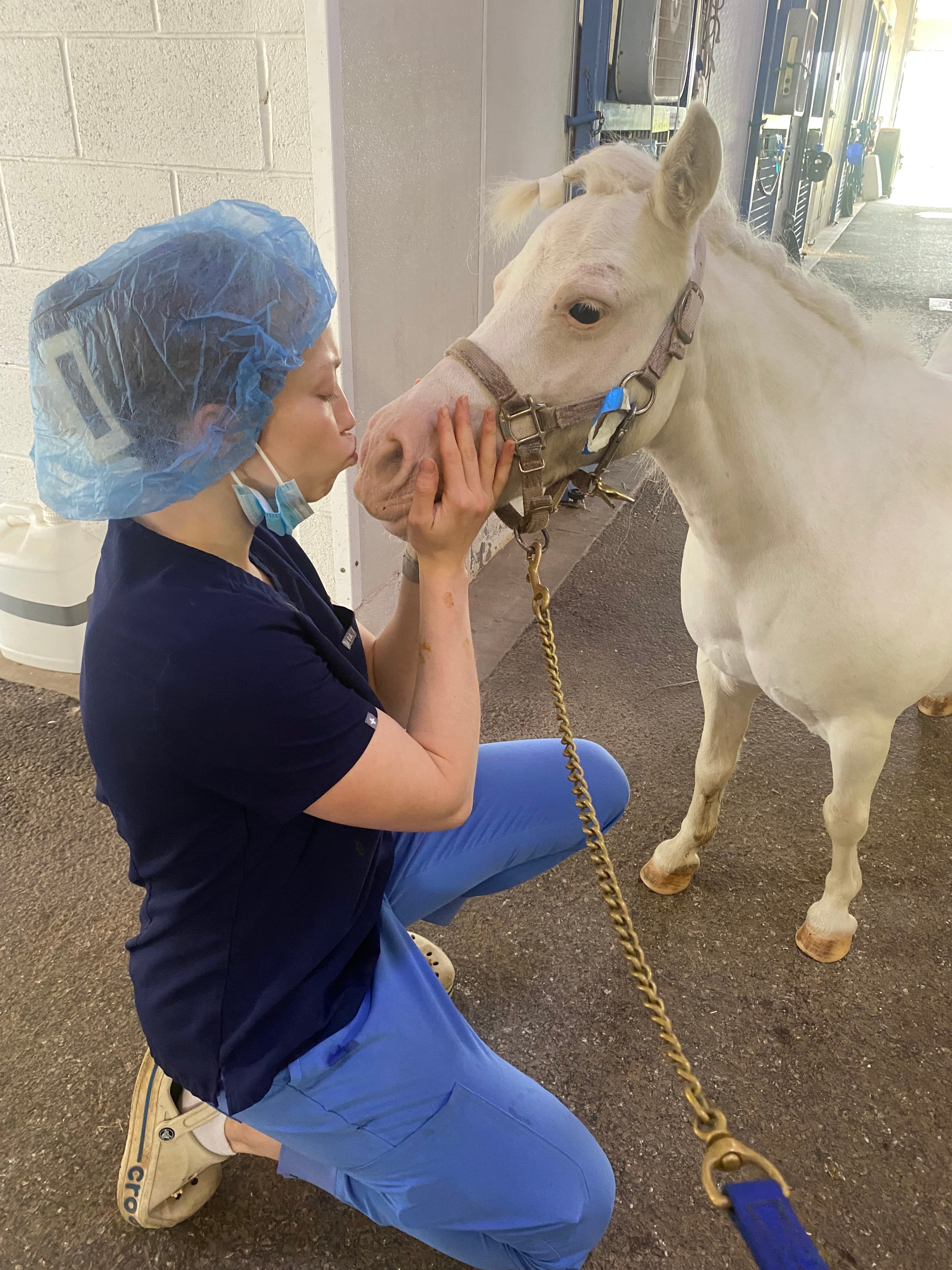 Sasha examining a foal